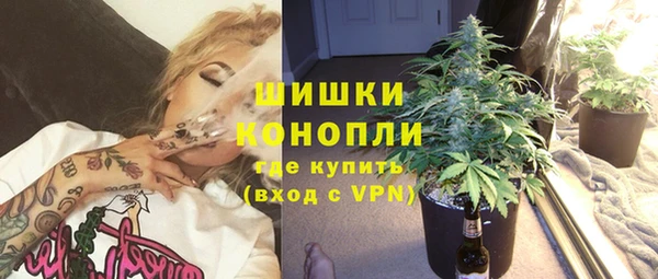 крисы Абдулино