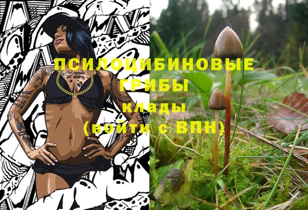 mix Алексин
