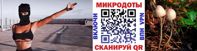 Псилоцибиновые грибы Magic Shrooms  Спас-Клепики 